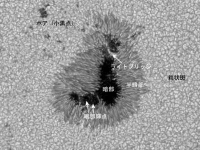 sunspot_example_note 3.png