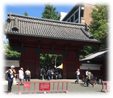 Image for the Akamon gate