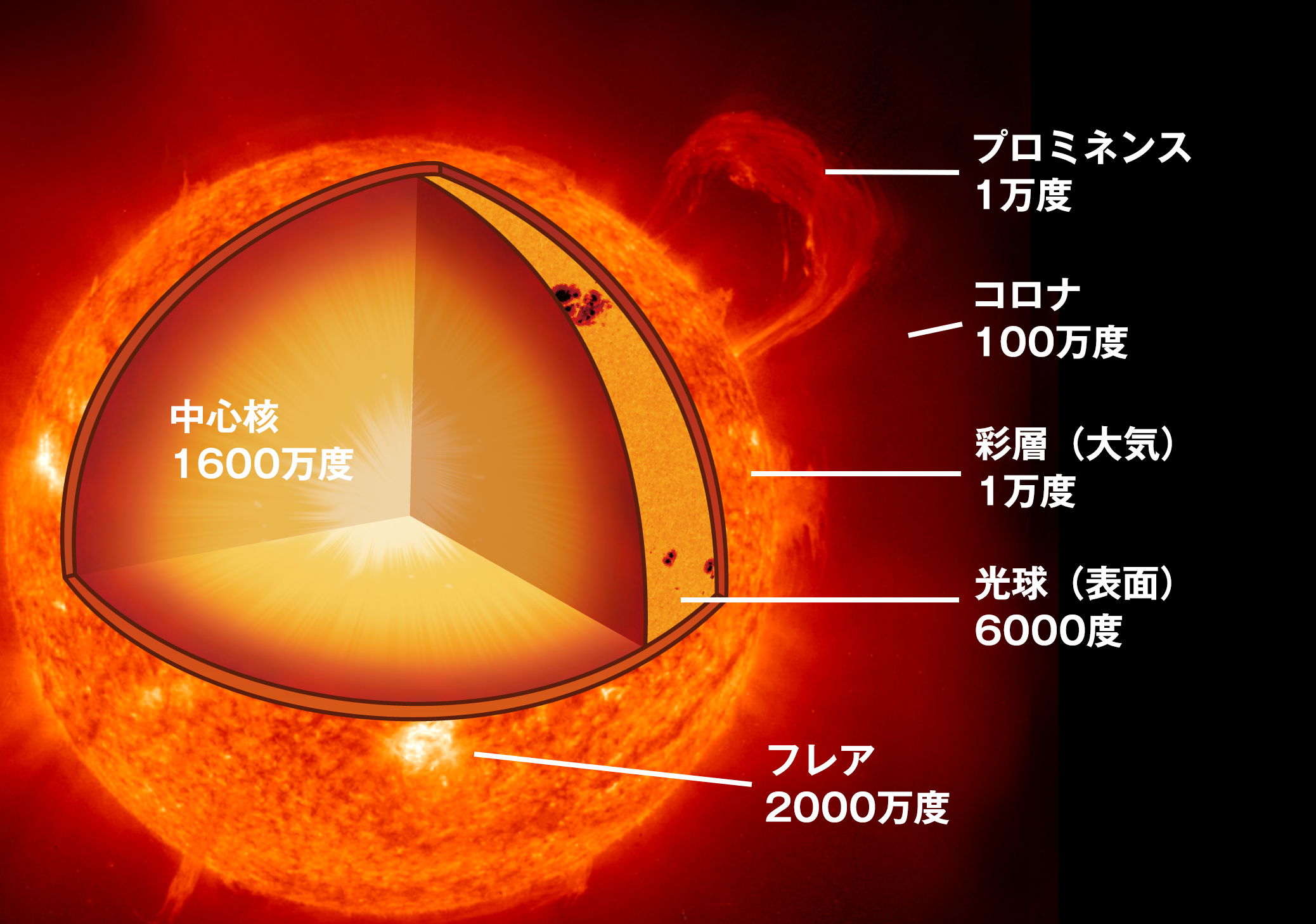 ひので｣が見た新しい太陽の姿 | 科学衛星｢ひので｣